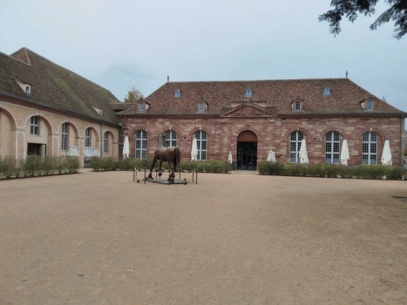 brasserie_des_haras_STRASBOURG_1.png